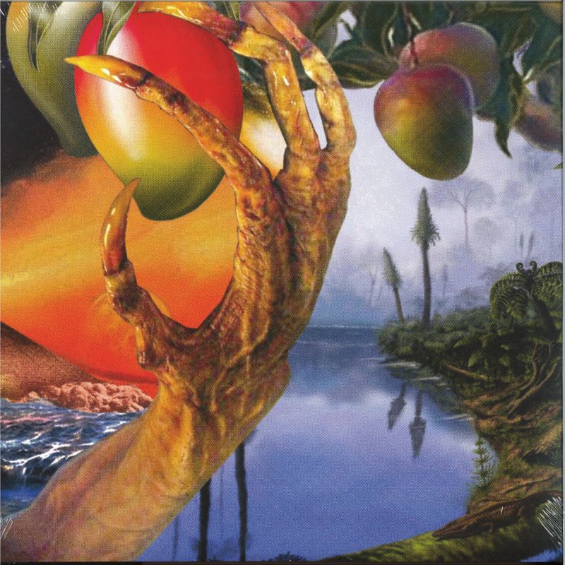 Timelash — A Morphology Of Wonders LP 2x12" vinyl cover