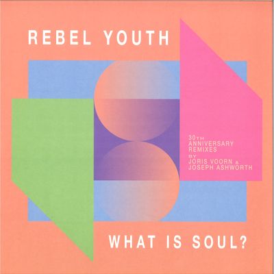 Rebel Youth — What is soul? (30th anniversary remixes) vinyl cover