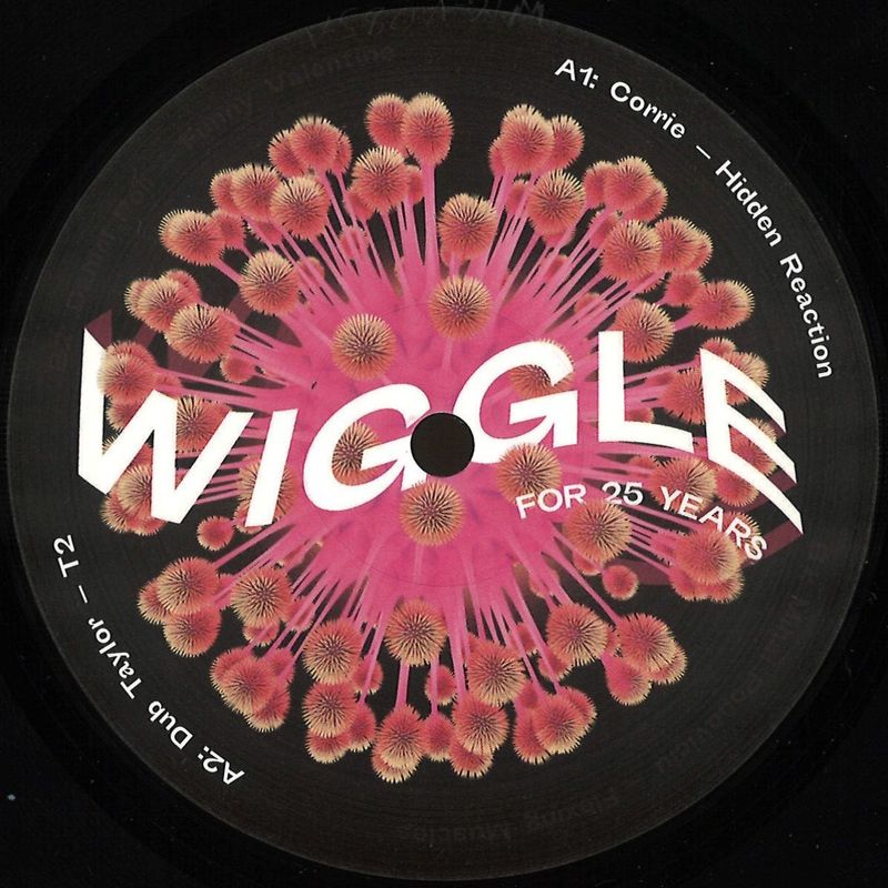 Various — Wiggle for 25 Years Sampler vinyl cover