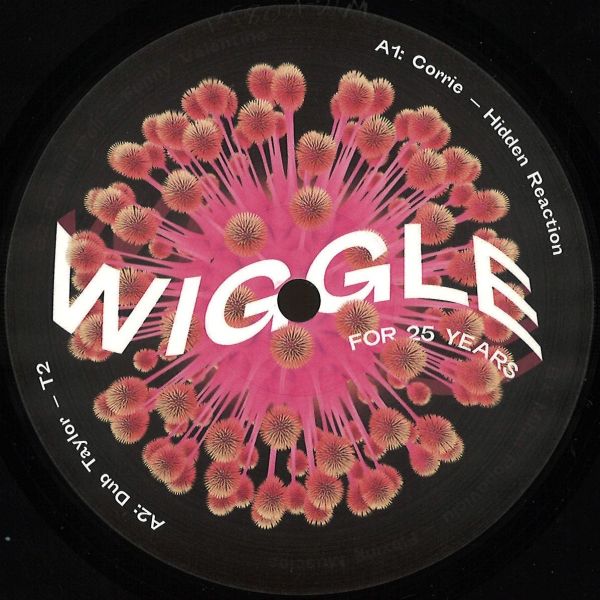 Various — Wiggle for 25 Years Sampler vinyl cover