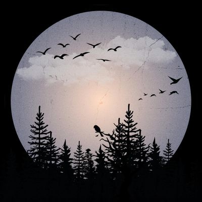 Humb, Iller Instinct, Buster — SMR008 vinyl cover