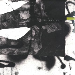 Sit — Synaptic 3x12" vinyl cover