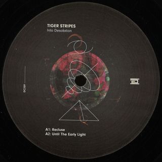 Tiger Stripes — Into Desolation EP vinyl cover