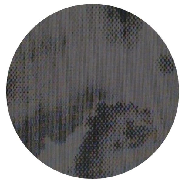 Alcyone — ransient Bodies vinyl cover