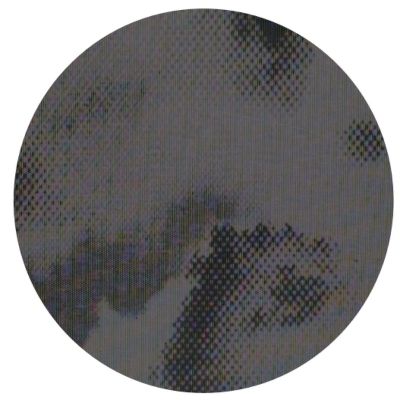 Alcyone — ransient Bodies vinyl cover