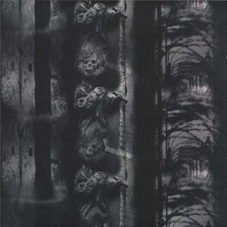 Shaleen — Consolidation EP vinyl cover