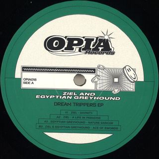 Egyptian Greyhound