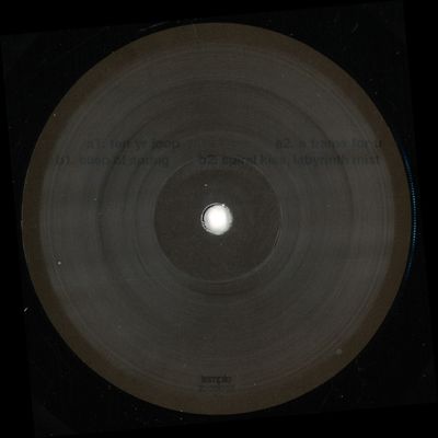 Adam Feingold — Nothing Is A Field vinyl cover