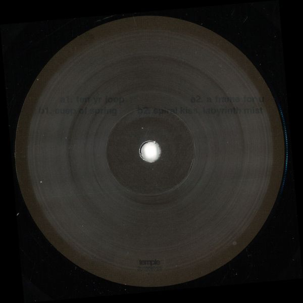 Adam Feingold — Nothing Is A Field vinyl cover