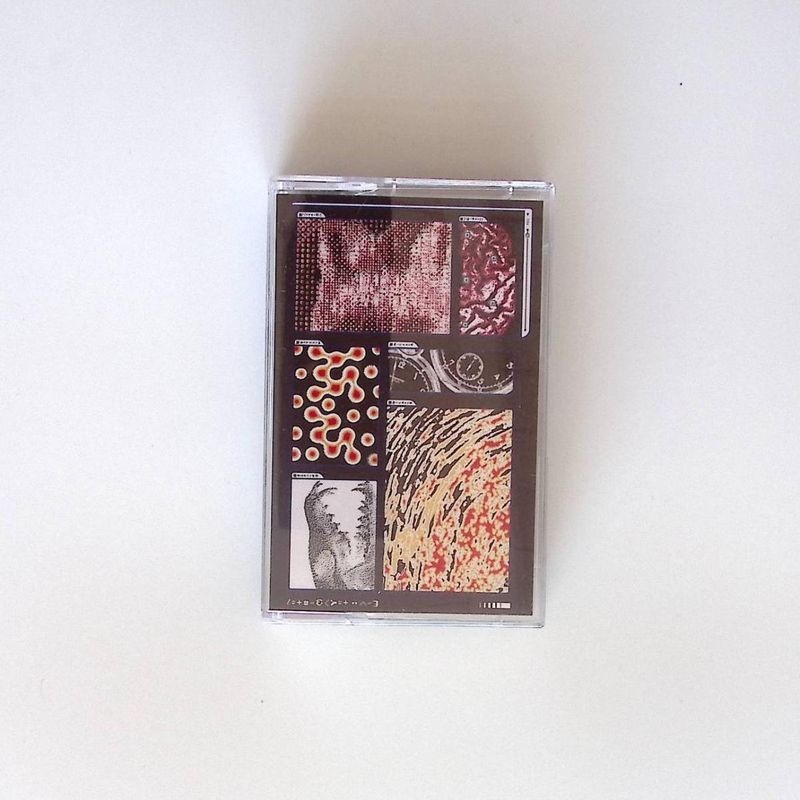 Saapato — Decomposition: Fox On A Highway (TAPE) vinyl cover