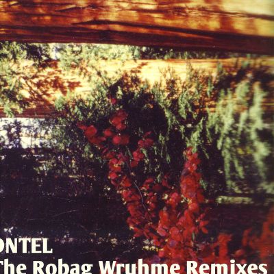 Dntel — The Robag Wruhme Remixes vinyl cover