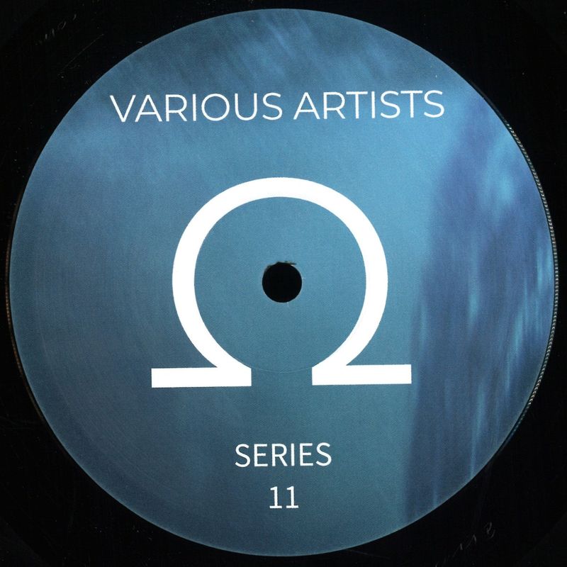 Various — Ohm Series #11 vinyl cover