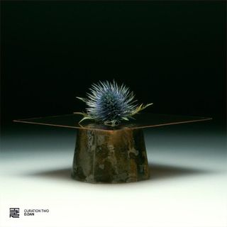 Various — Curation Two: D.Dan vinyl cover