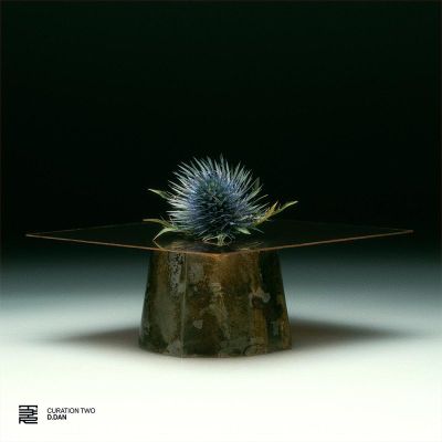 Various — Curation Two: D.Dan vinyl cover