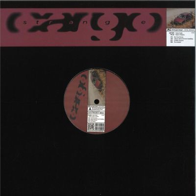 Solar Suite — Back 2 Basics vinyl cover