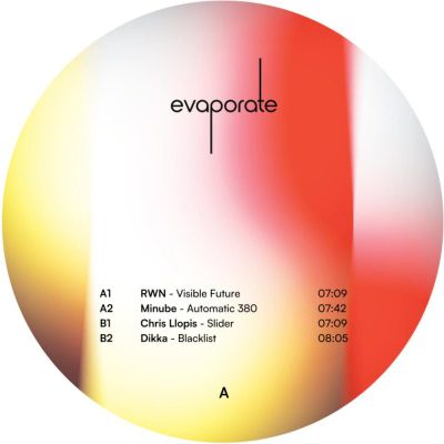 Rwn, Minube, Chris Llopis, Dikka — ZFV002 vinyl cover