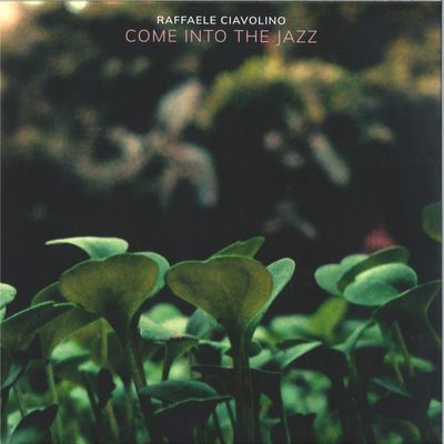 Raffaele Ciavolino — Come Into The Jazz vinyl cover