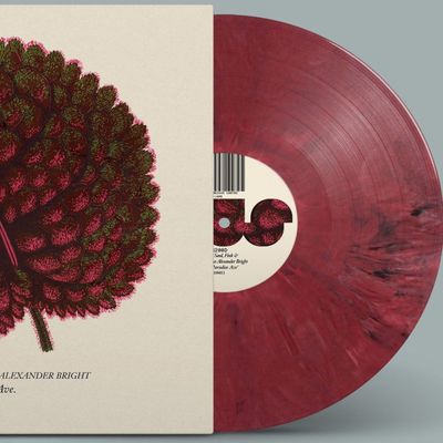 Will Saul, Fink, James Alexander Bright — Paradise Ave vinyl cover