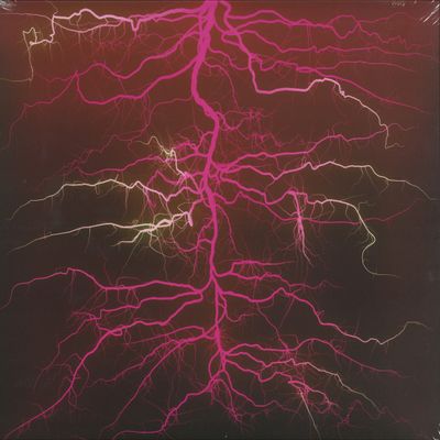 Leifur James — MAGIC SEEDS LP vinyl cover