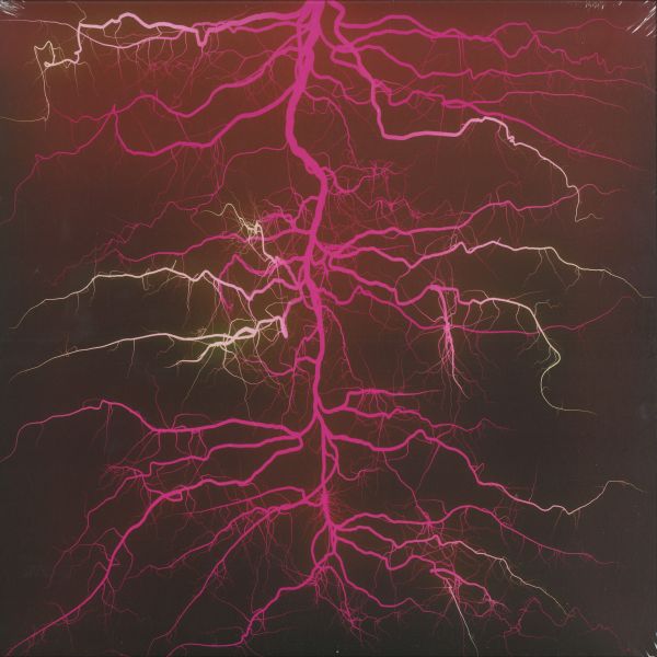 Leifur James — MAGIC SEEDS LP vinyl cover