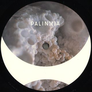 Eric Cloutier — Perpetual Booty Grooves Vol.1 vinyl cover