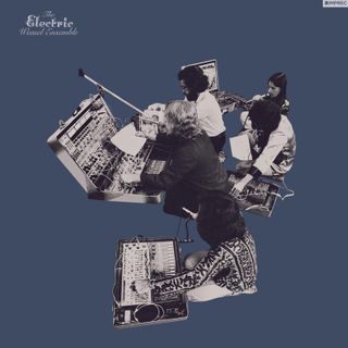 Electric Weasel Ensemble — Electric Weasel Ensemble LP 2x12" vinyl cover