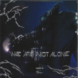 Various — We Are Not Alone - Part 9 LP 2x12" vinyl cover