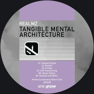 Realmz — Tangible Mental Architecture LP vinyl cover