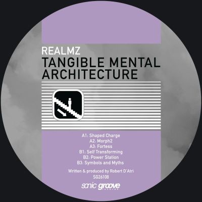 Realmz — Tangible Mental Architecture LP vinyl cover