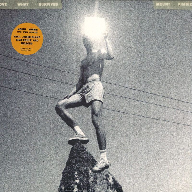 Mount Kimbie — Love What Survives vinyl cover