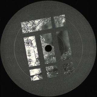 Danilo Schneider — Different Views EP vinyl cover