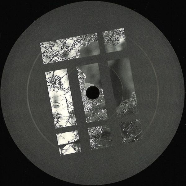 Danilo Schneider — Different Views EP vinyl cover