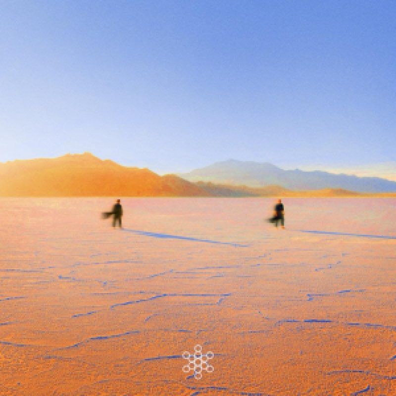 Praana — INSIGHT OUT (2x12") vinyl cover