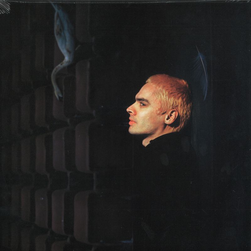 Sega Bodega — Dennis vinyl cover