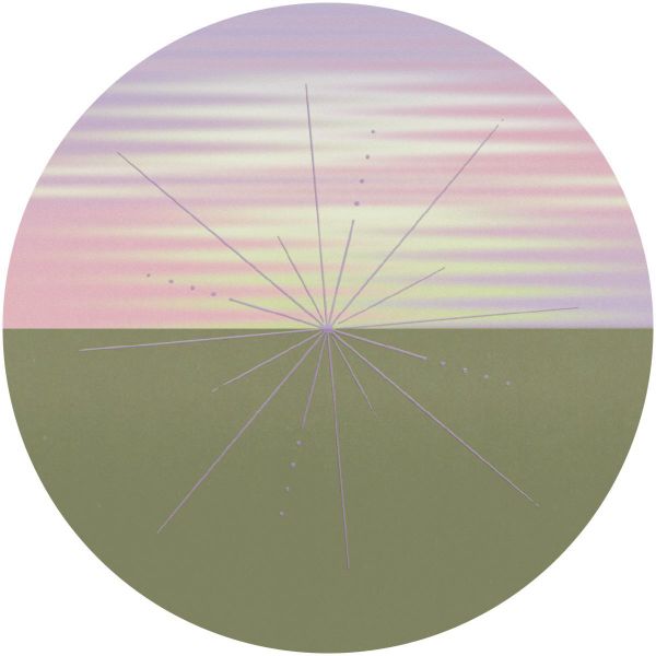 Desroi — Flash Sync Error vinyl cover