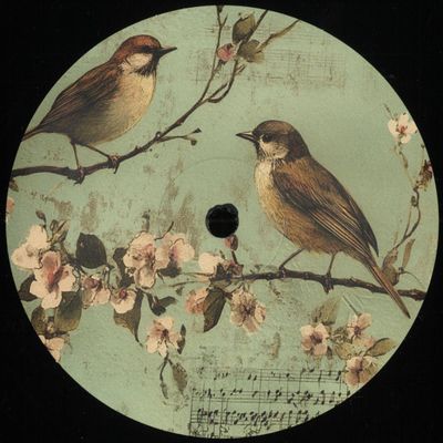 Putsch 79 — BIRDZ EP vinyl cover