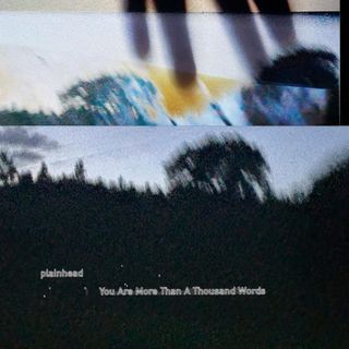 plainhead