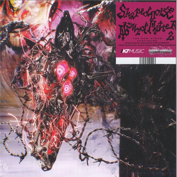Shapednoise — Absurd Matter 2 LP vinyl cover