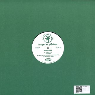 Insight Featuring Ashaye — Spring EP vinyl cover