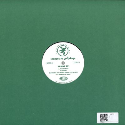 Insight Featuring Ashaye — Spring EP vinyl cover
