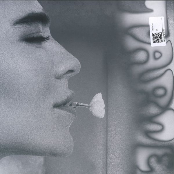 Nina Kraviz — Tarde Remixes 2 vinyl cover