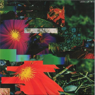 Mr. Fingers — Leev Ur Mynd LP 2x12" vinyl cover