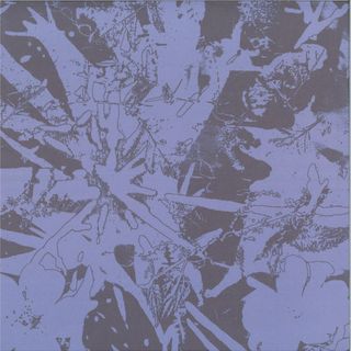Plants Heal — Forest Dwellers LP vinyl cover