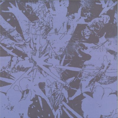 Plants Heal — Forest Dwellers LP vinyl cover