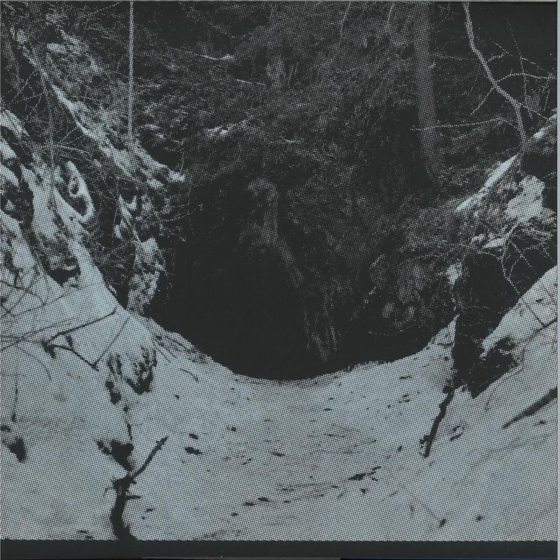 Erik K Skodvin — From Darkness vinyl cover