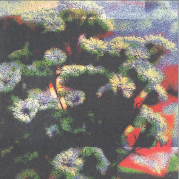 Jinjé, A. Montane — Neon Garden EP vinyl cover